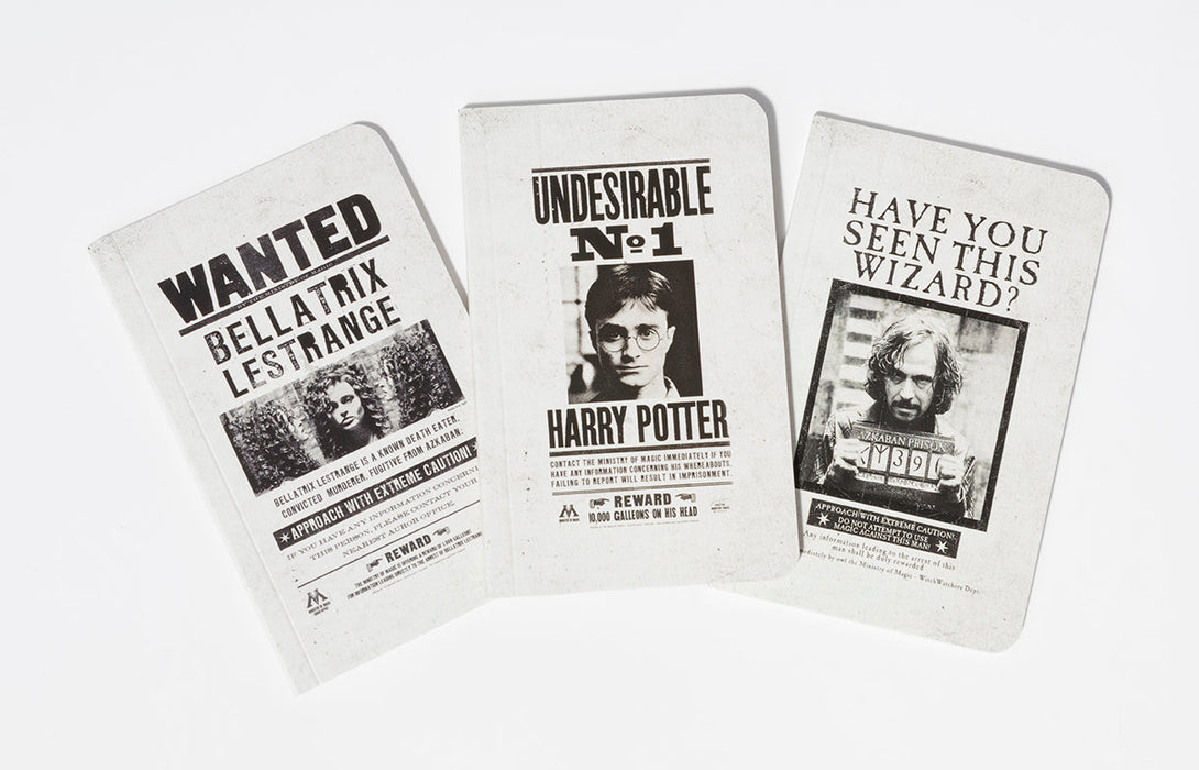 Harry Potter Steckbrief-Notizbücher 3er Set