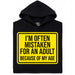 Mistaken For An Adult - Vue principale Hoodie Noir