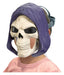 Máscara Masters of the Universe Skeletor con luz y sonido