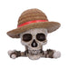 One Piece opbergdoos Jolly Roger van Luffy