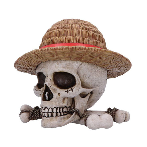 One Piece opbergdoos Jolly Roger van Luffy