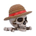 One Piece opbergdoos Jolly Roger van Luffy